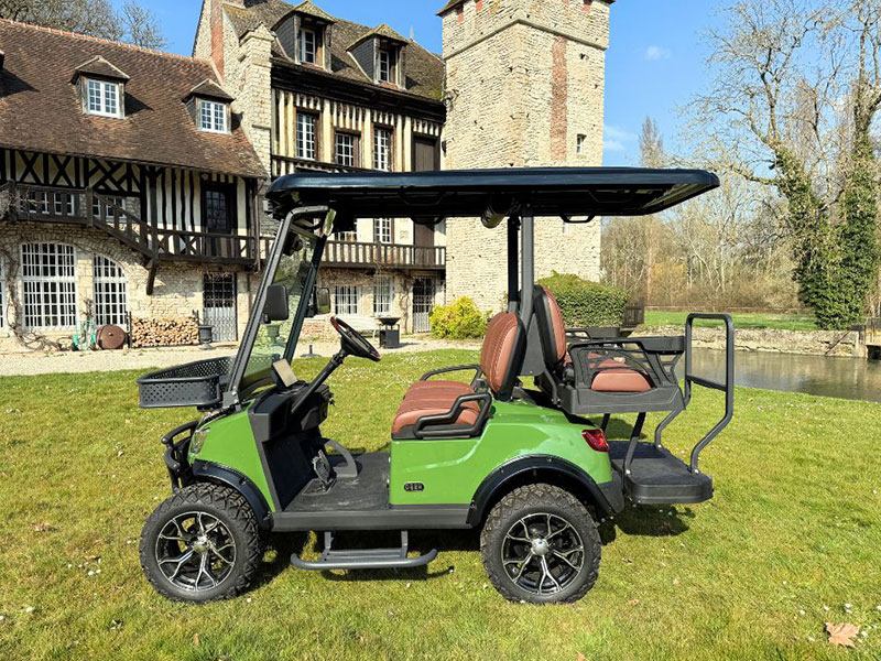 Voiturette électrique DEER 01