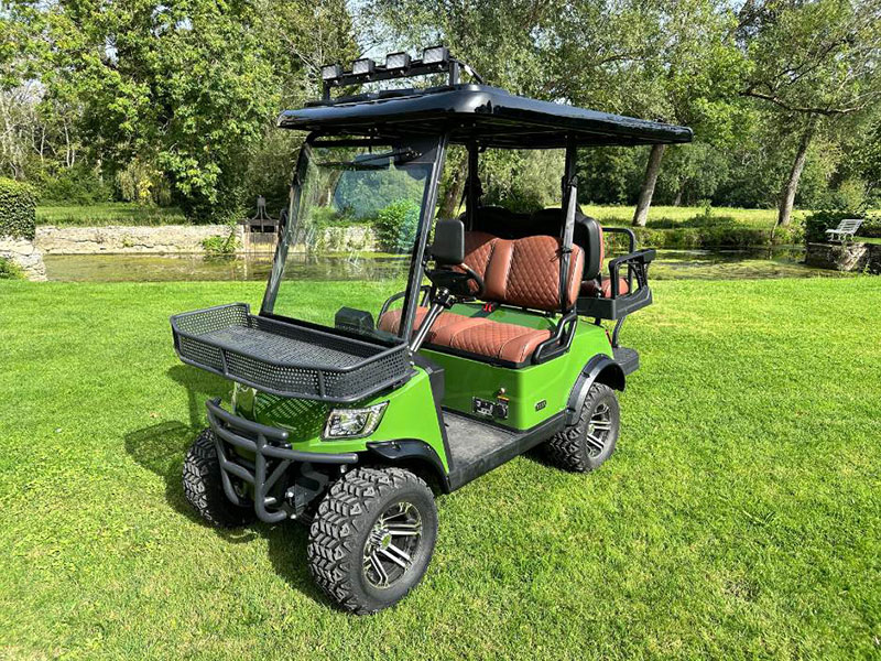 Voiturette électrique DEER 02