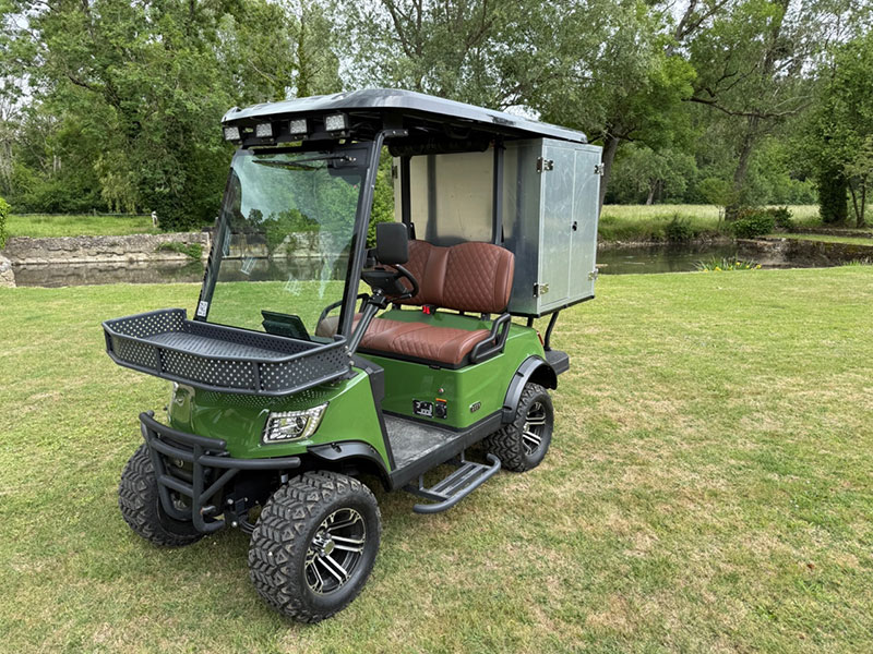 Voiturette électrique DEER 06